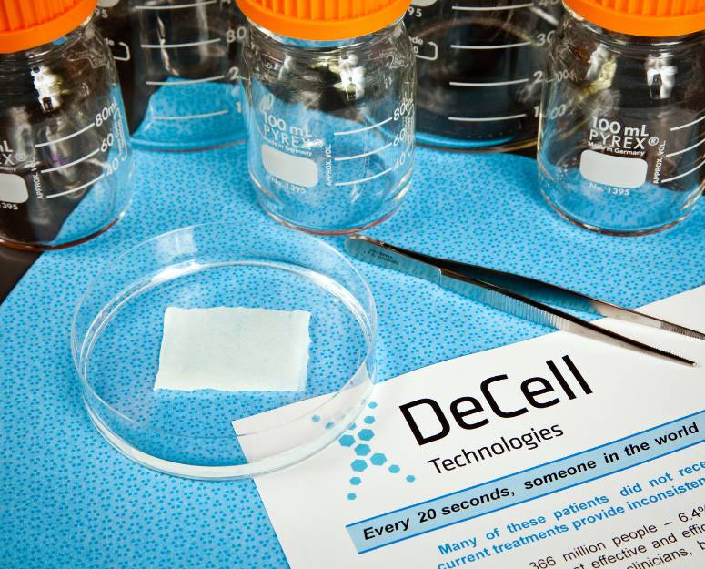 Healing Wounds, Changing Lives: The DeCell Technologies Story